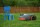 Segway Navimow H3000E-VF