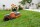 Segway Navimow H3000E-VF