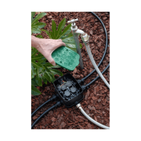 Antelco Mini-Expressbox - Mini Ventilstation mit 4 Magnetventilen 4-Stationen  3/4" AG 24 VAC