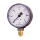 Druckmesser - Manometer Ø 50 MM Radial 1/4" AG 0-6 Bar