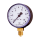 Druckmesser - Manometer Ø 50 MM Radial 1/4" AG 0-10 Bar