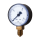 Druckmesser - Manometer Ø 50 MM Radial 1/4" AG 0-16 Bar