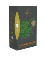 Loretta Rasen-Reparatur Premiumrasensaat 0,6 kg