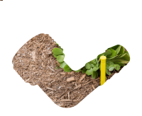 Hunter ECO-ID Anzeige für Tropfsystem