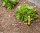 ECO-ID, Anzeige Tropfsystem, min. 0,85 bar, Betriebsdruck 5,5 bar