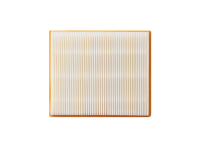AVF0900 Flachfilter für Nass-/Trockensauger