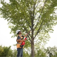 M18BLTS-0 Akku-Teleskop-Astschere XXX