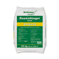 Rasend&uuml;nger Areal