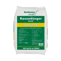 Rasend&uuml;nger Areal