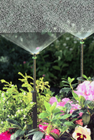 Micro Spray Jet Winged