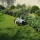 Segway Navimow X420E AWD Grau