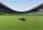 Segway Navimow Terranox CM240M1